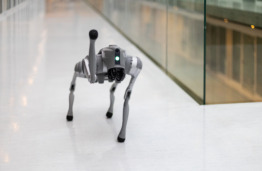 KTU Research Team Welcomes a Robot Dog: Helping Researchers Explore How AI Interacts with the Real World