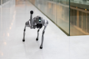 Quadruped